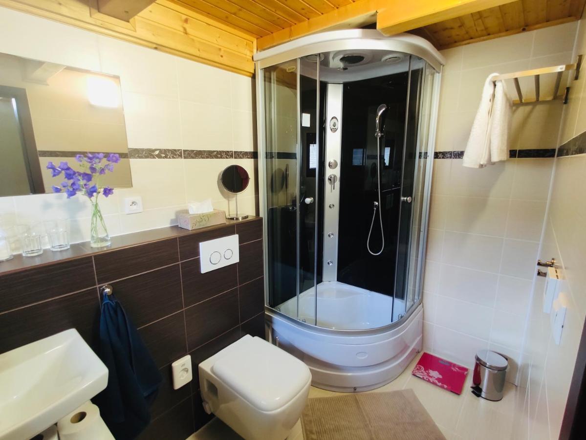 Grand Spa Holiday Home Sklené Teplice Exteriér fotografie